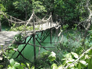 Utför byggen i alla typer av miljöer. Indiana-Jones inspirerad bro till Robinson i ett Träsk, Malaysia copy